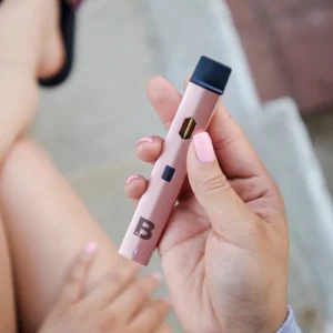 2 grams disposable (CHOOSE FLAVOR)